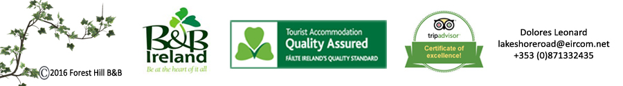 failte appoved accommodation
